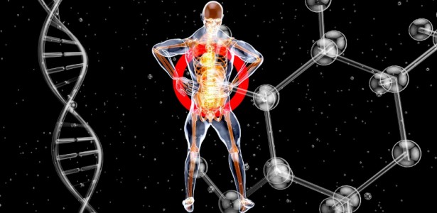 Estudo identifica rede de autoanticorpos em doenças neurodegenerativas
