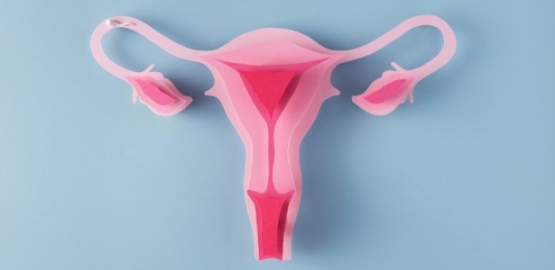 Aplicação de melatonina aumenta eficácia de transplante de tecido ovariano