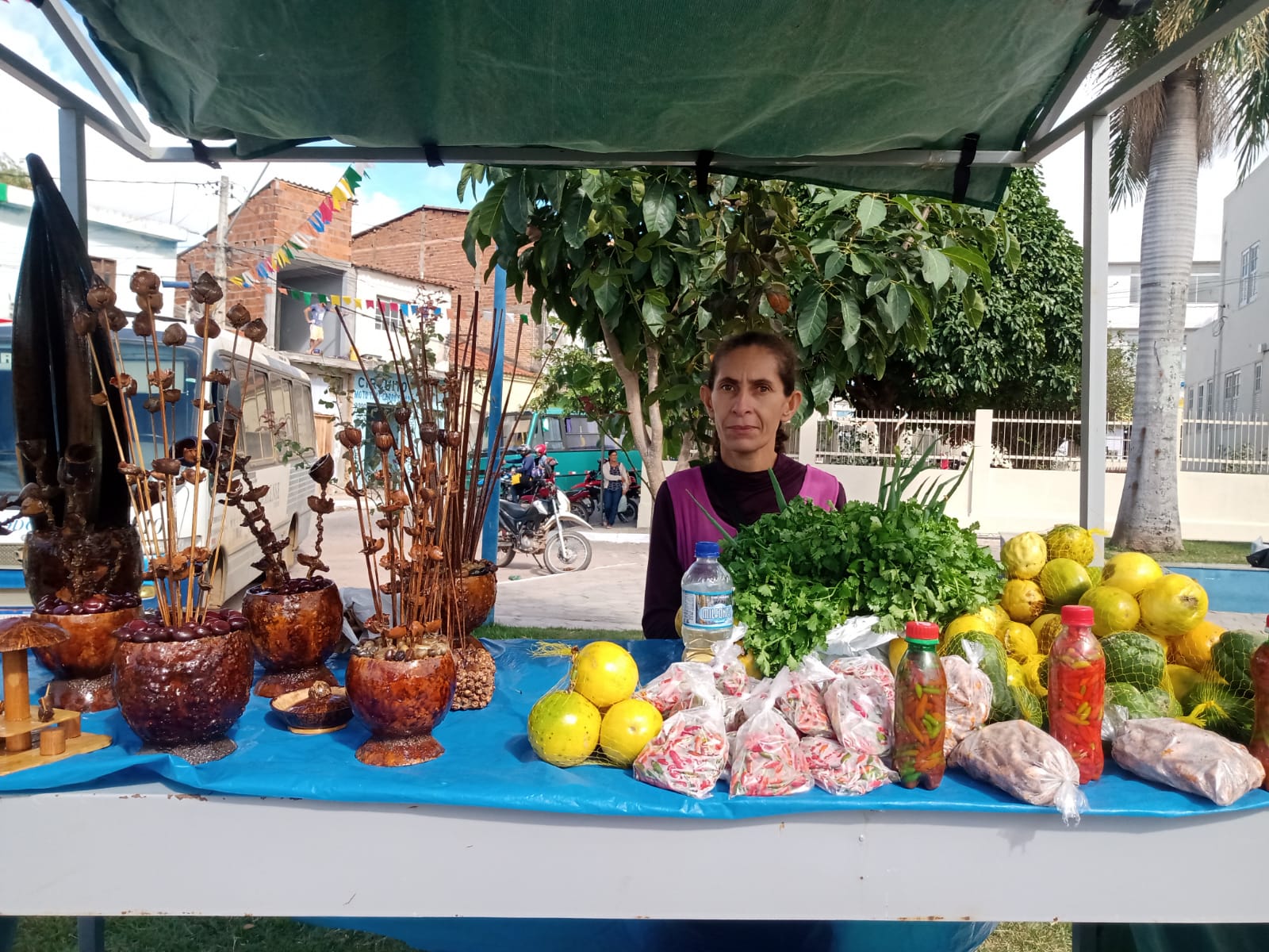 Feira Agroecológica da Chapada Diamantina impulsiona produção local e autonomia feminina