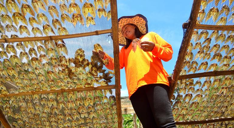 Sem poder de decisão, mulheres processam metade do pescado na América Latina