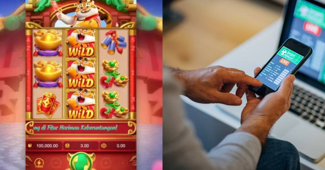 Bets, “tigrinho” e vício em jogos de azar: 7 indicações de repertório para o Enem e vestibulares
