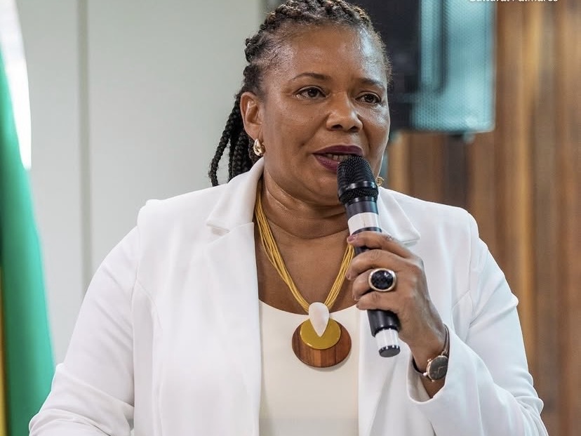 Ministra Margareth Menezes recebe maior honraria da Alerj em cerimônia no Circo Voador
