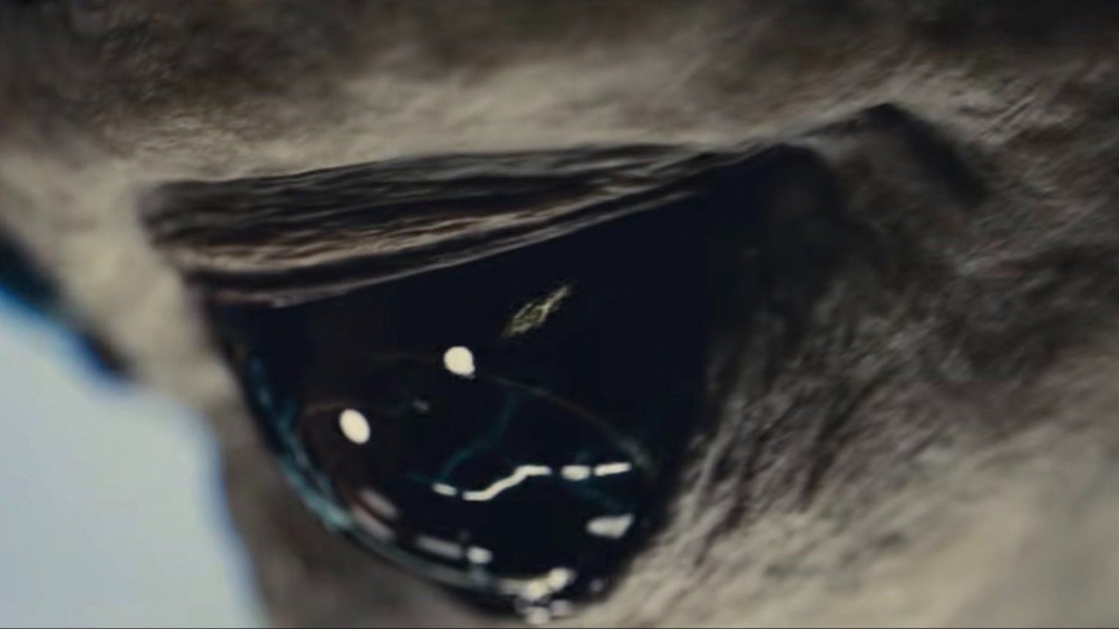 Alien de Spielberg é revelado! Confira o trailer de Dia D