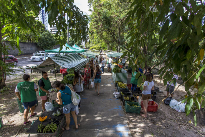 Agricultura familiar e alimentos orgânicos mobilizam campanha em Pernambuco