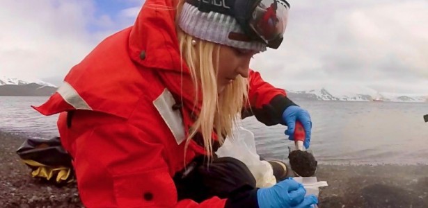 Pesquisadoras descobrem nova espécie de microrganismo adaptado a frio e calor extremos na Antártida