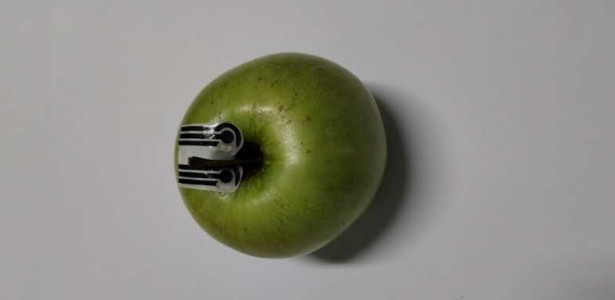 Sensores biodegradáveis acoplados em plantas detectam pesticidas em três minutos