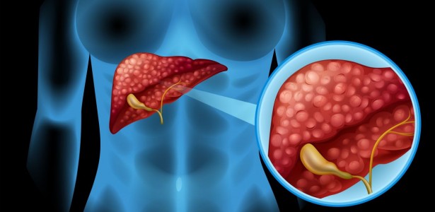 Estudo detalha como o organismo se adapta a dietas com muita proteína e nenhum carboidrato