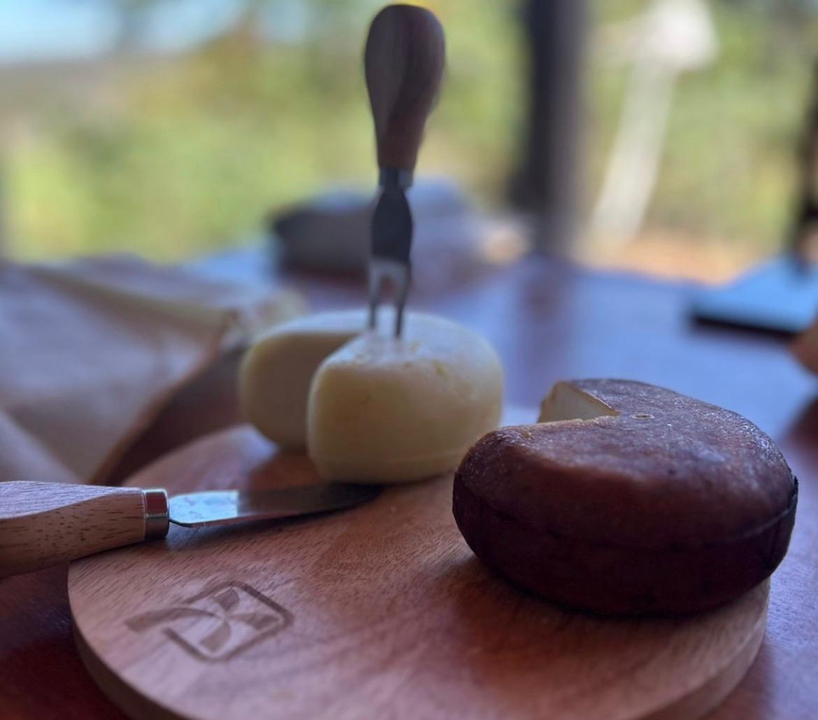 Produção de leite de cabra fortalece renda na Chapada Diamantina