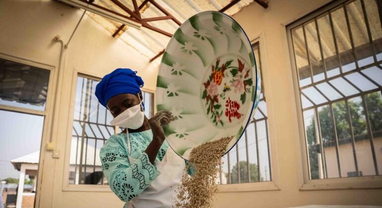 Embora estável, produção agrícola global é vulnerável a efeitos da guerra e El Niño