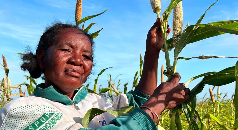ONU quer proteger 9 milhões de efeitos de um El Niño extremo este ano