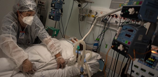 Cientistas propõem medidas para conter avanço de fungos resistentes a medicamentos