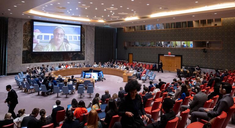 Dia da Mulher na Diplomacia destaca sub-representação no poder global