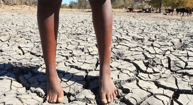 Nova fase do El Niño ameaça a produção agrícola mundial, alerta a FAO