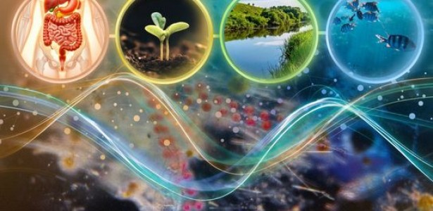 Estudo genômico de microbiomas comprova teoria ecológica clássica sobre competição por recursos