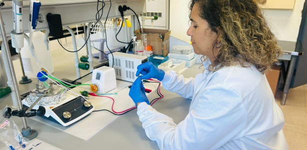 Novo método acelera e barateia a produção de peça-chave para o hidrogênio verde