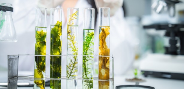 Unesp de Araraquara oferece pós-graduação em biotecnologia