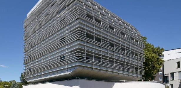 Collegium de Lyon seleciona pesquisadores