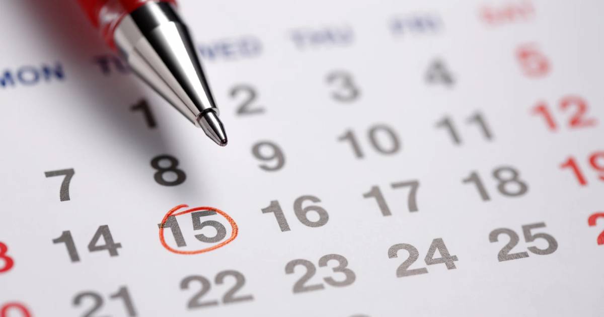 Feriados de novembro de 2026: quando não tem aula nas escolas