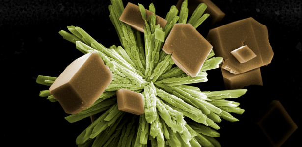 Concurso premia imagens de microscopia na área de engenharia metalúrgica e de materiais