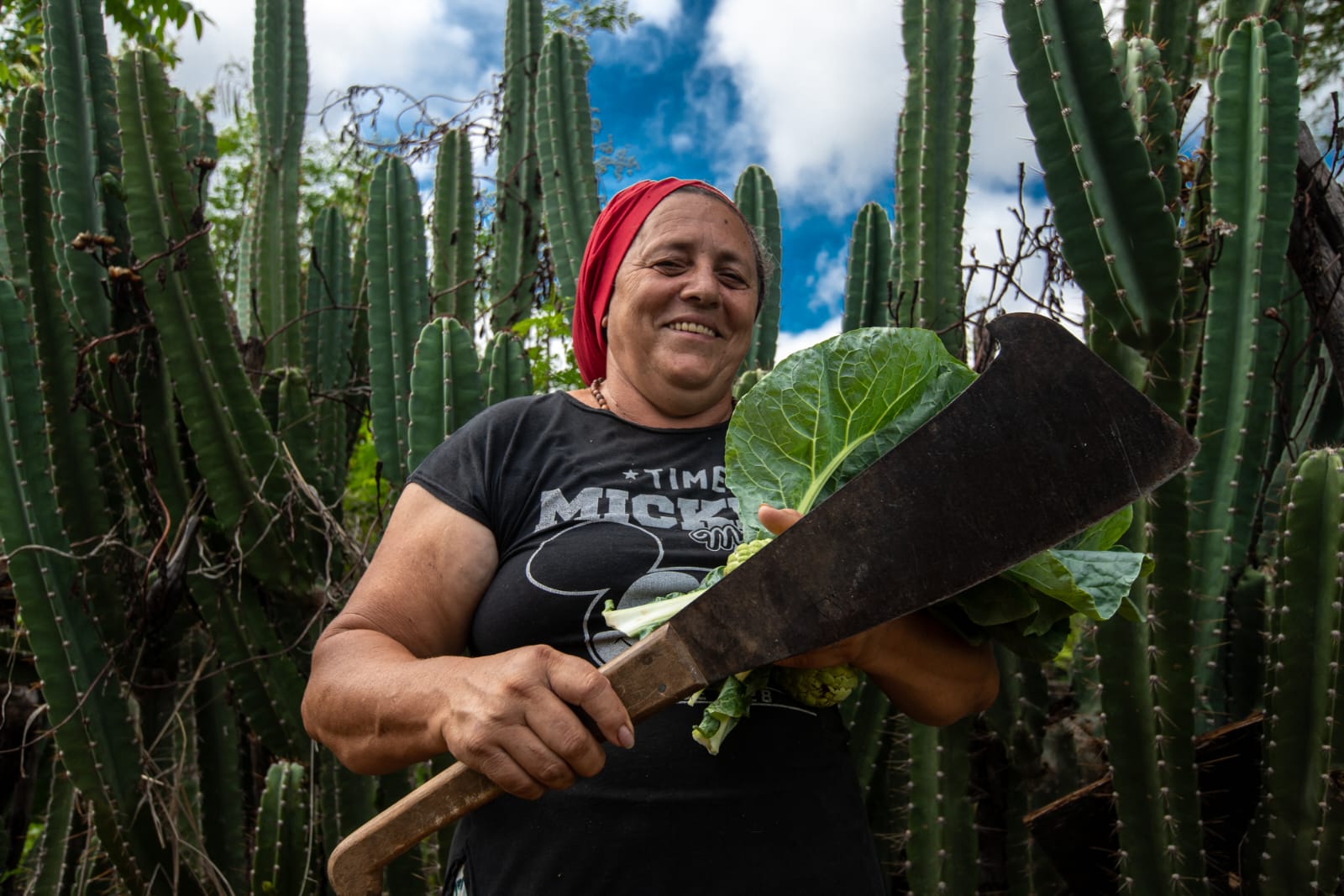 Plataforma Semiáridos realiza, no Recife, seminário internacional sobre clima e governança na América Latina